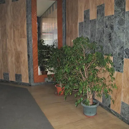 Apartment Tree House *
